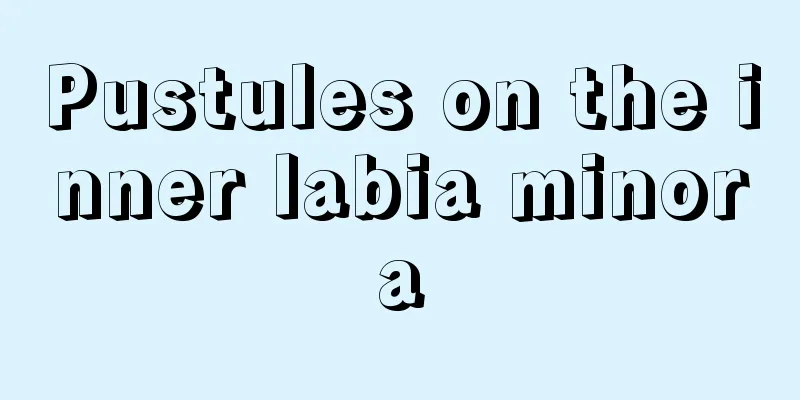 Pustules on the inner labia minora