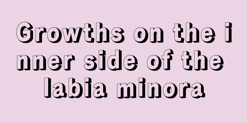 Growths on the inner side of the labia minora