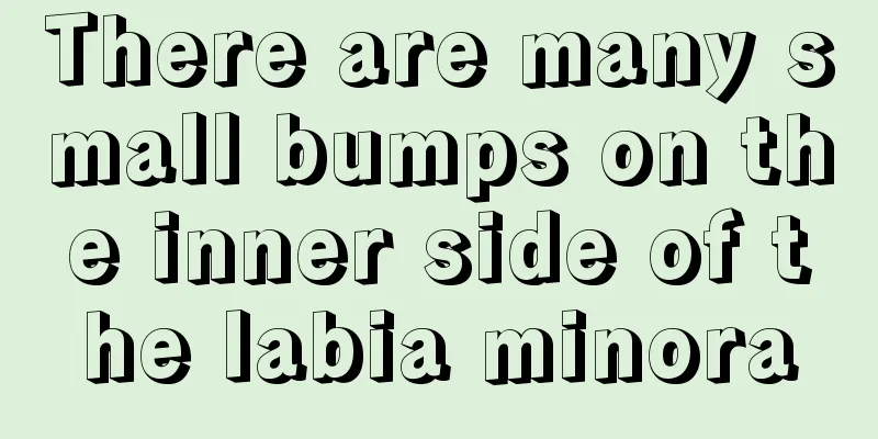 There are many small bumps on the inner side of the labia minora