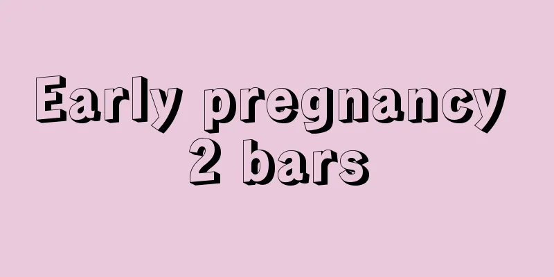 Early pregnancy 2 bars