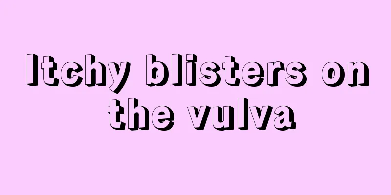 Itchy blisters on the vulva