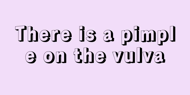 There is a pimple on the vulva