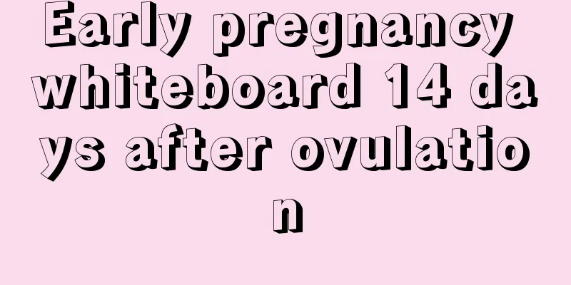 Early pregnancy whiteboard 14 days after ovulation