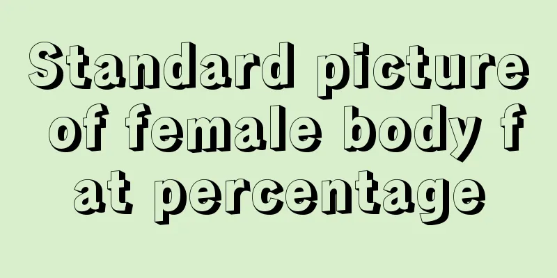 Standard picture of female body fat percentage