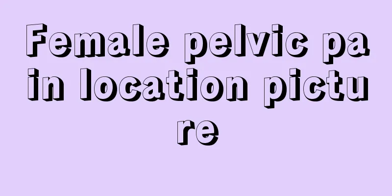 Female pelvic pain location picture