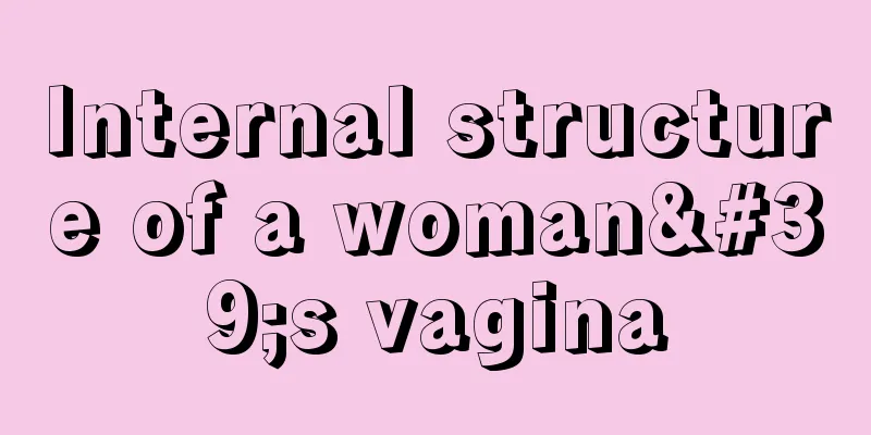 Internal structure of a woman's vagina