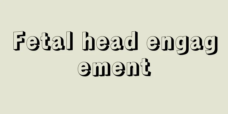 Fetal head engagement