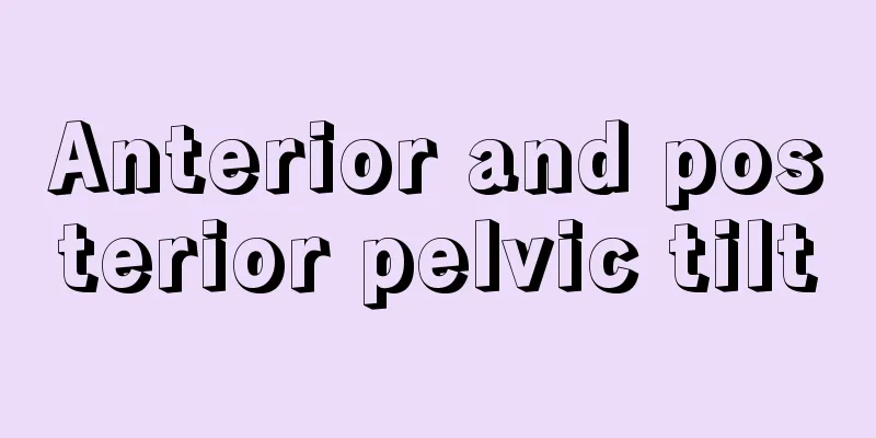 Anterior and posterior pelvic tilt