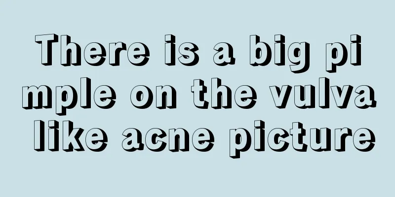 There is a big pimple on the vulva like acne picture