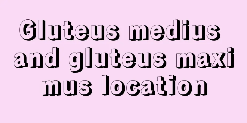 Gluteus medius and gluteus maximus location