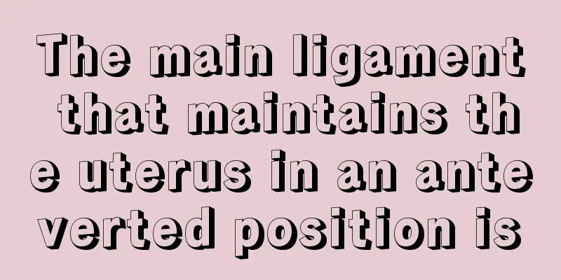 The main ligament that maintains the uterus in an anteverted position is