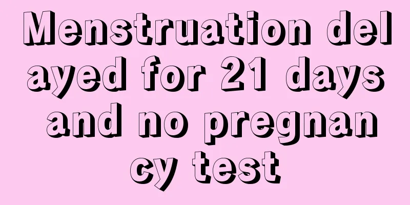 Menstruation delayed for 21 days and no pregnancy test