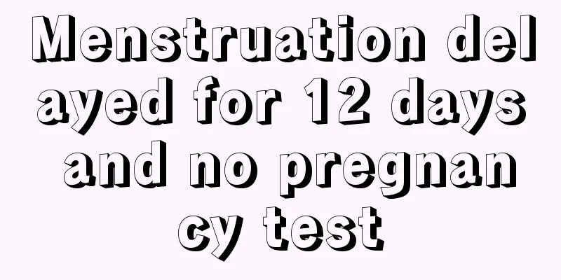 Menstruation delayed for 12 days and no pregnancy test