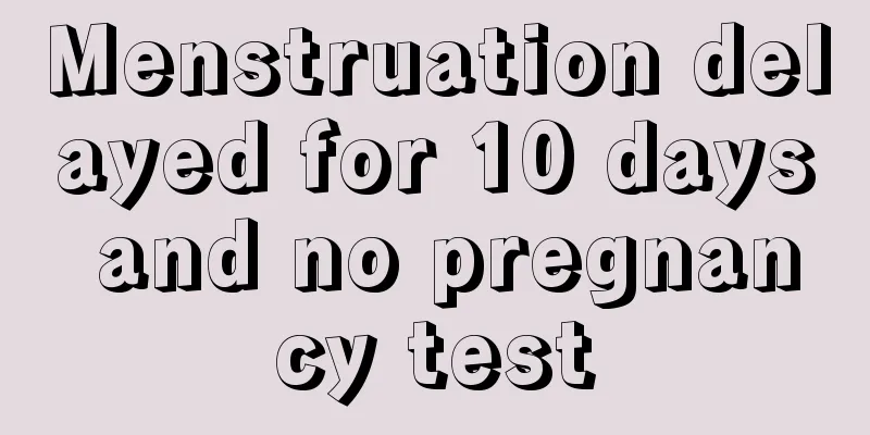 Menstruation delayed for 10 days and no pregnancy test