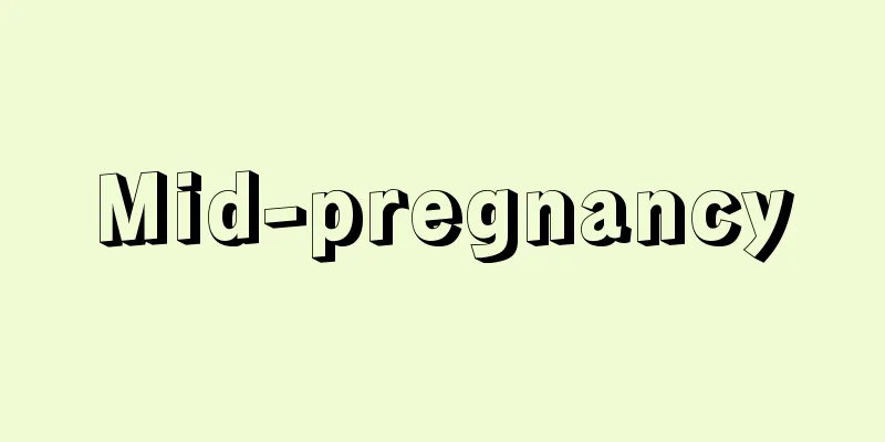 Mid-pregnancy