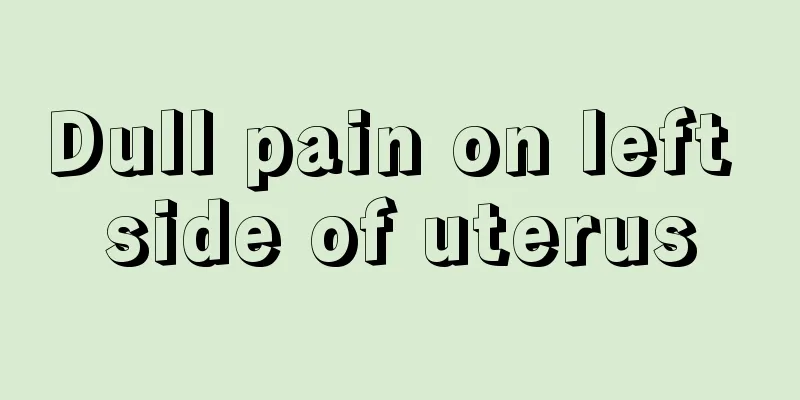 Dull pain on left side of uterus