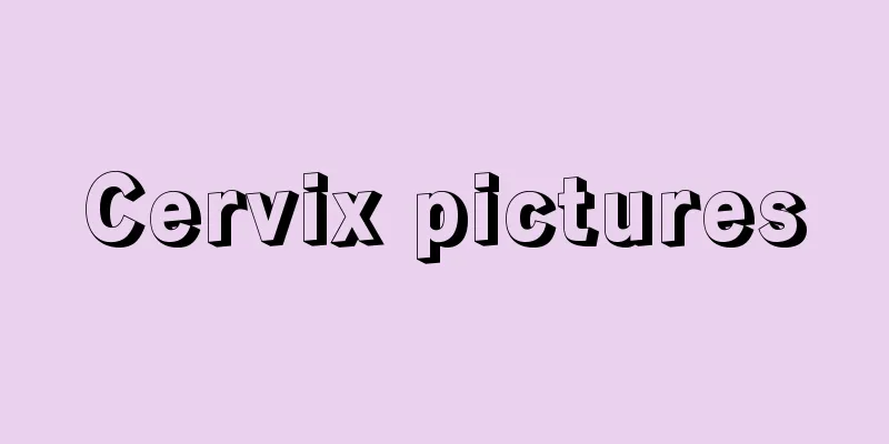 Cervix pictures