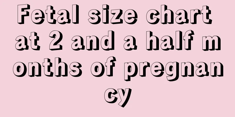 Fetal size chart at 2 and a half months of pregnancy