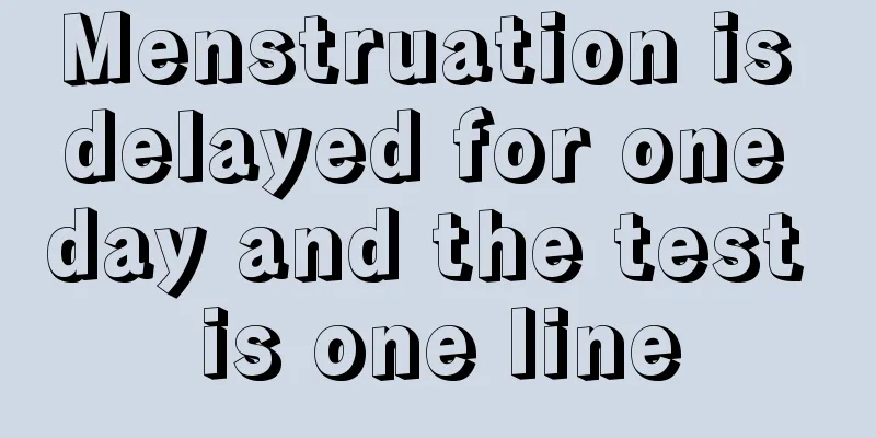 Menstruation is delayed for one day and the test is one line