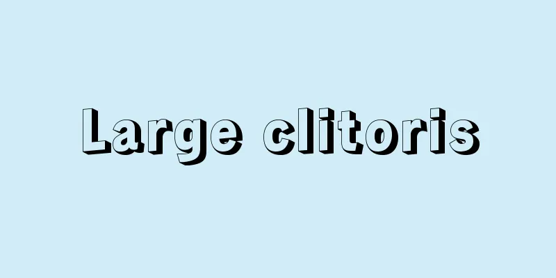 Large clitoris