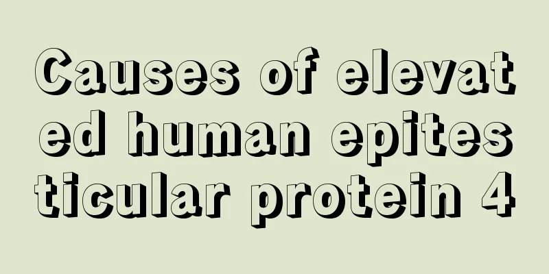 Causes of elevated human epitesticular protein 4