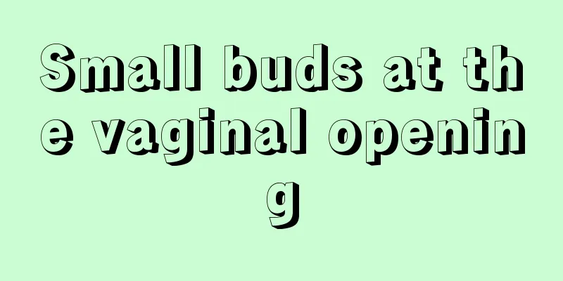 Small buds at the vaginal opening