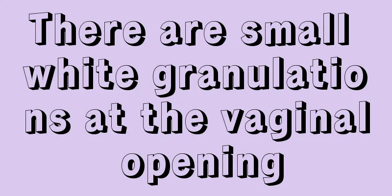 There are small white granulations at the vaginal opening