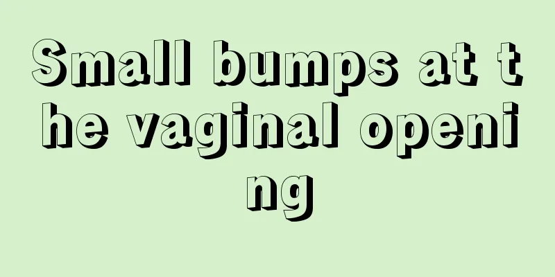 Small bumps at the vaginal opening