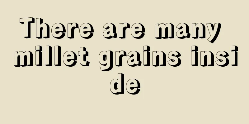 There are many millet grains inside