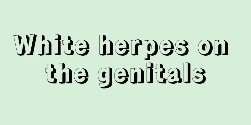 White herpes on the genitals