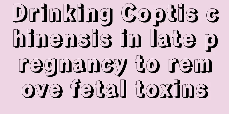 Drinking Coptis chinensis in late pregnancy to remove fetal toxins