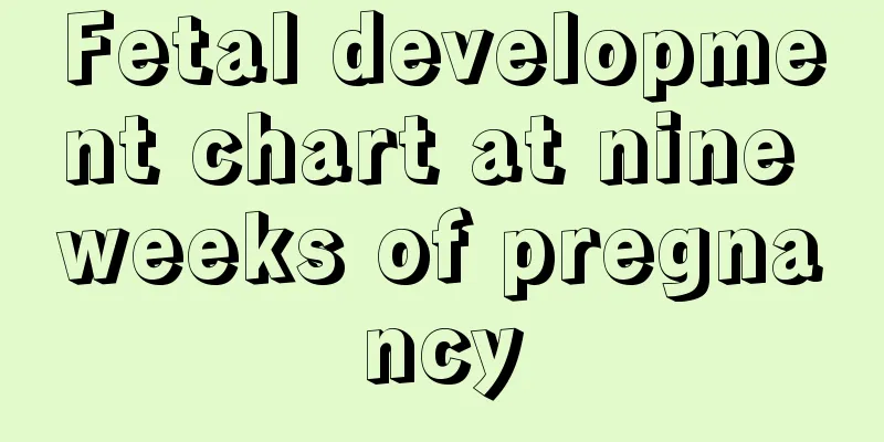 Fetal development chart at nine weeks of pregnancy