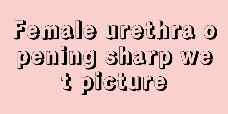 Female urethra opening sharp wet picture