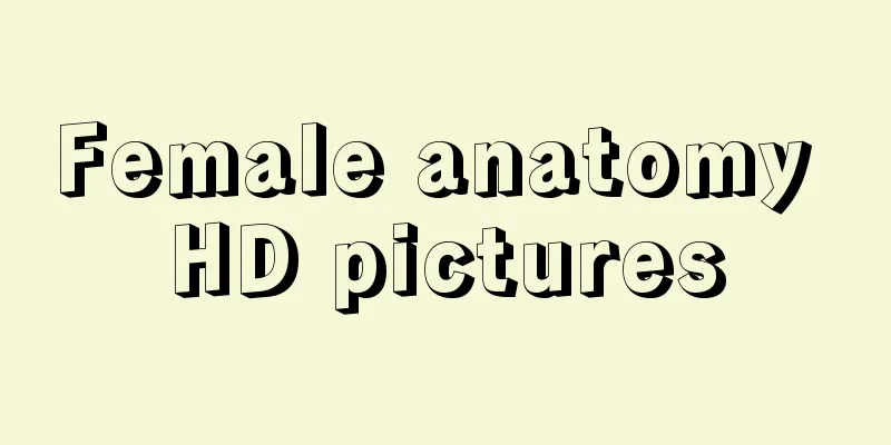 Female anatomy HD pictures