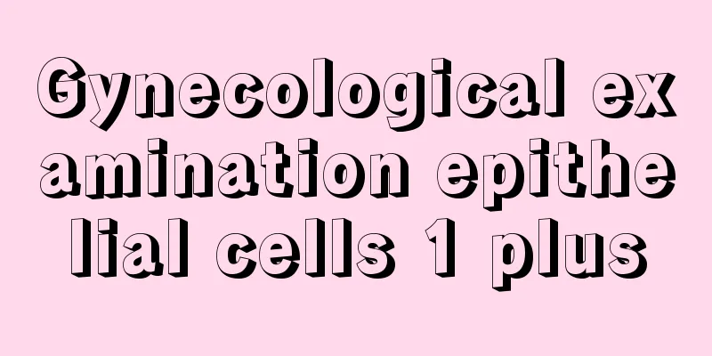 Gynecological examination epithelial cells 1 plus