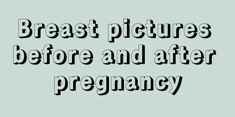 Breast pictures before and after pregnancy