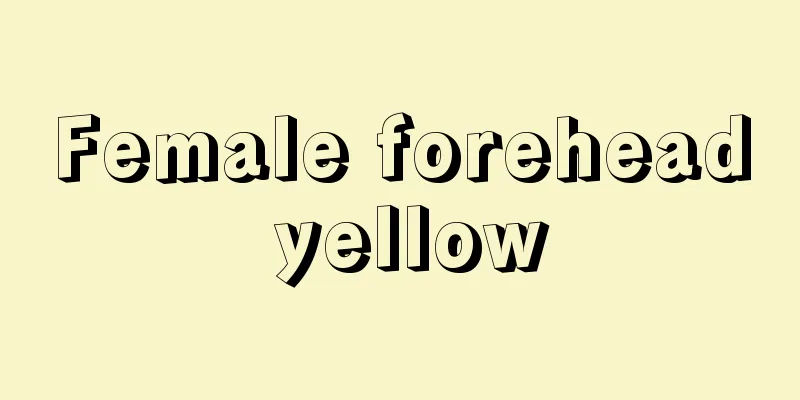 Female forehead yellow