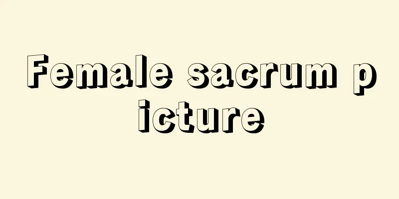 Female sacrum picture