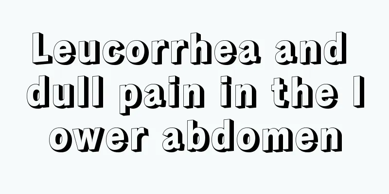 Leucorrhea and dull pain in the lower abdomen