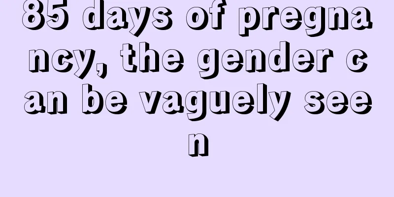 85 days of pregnancy, the gender can be vaguely seen