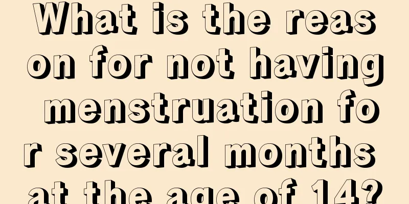 What is the reason for not having menstruation for several months at the age of 14?