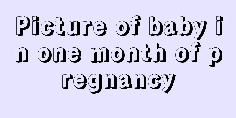 Picture of baby in one month of pregnancy