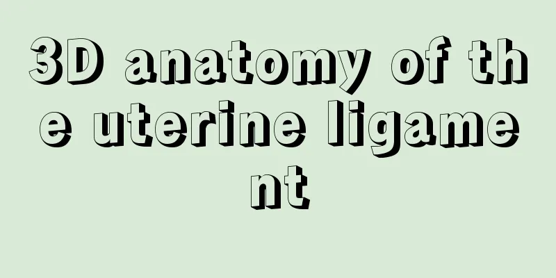 3D anatomy of the uterine ligament