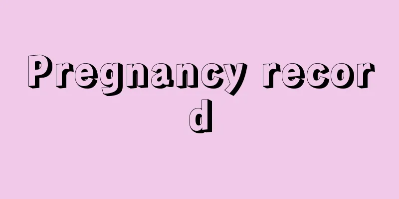 Pregnancy record