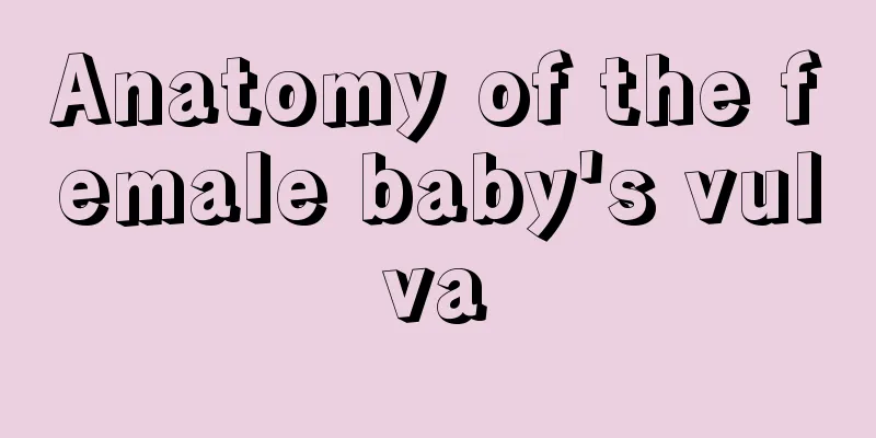 Anatomy of the female baby's vulva