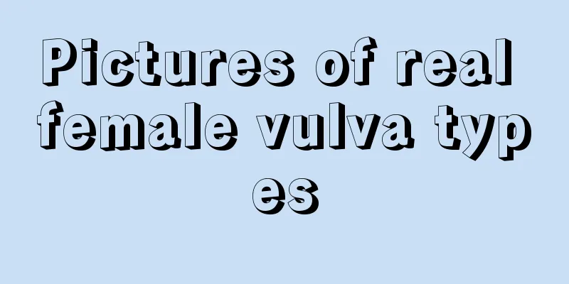 Pictures of real female vulva types