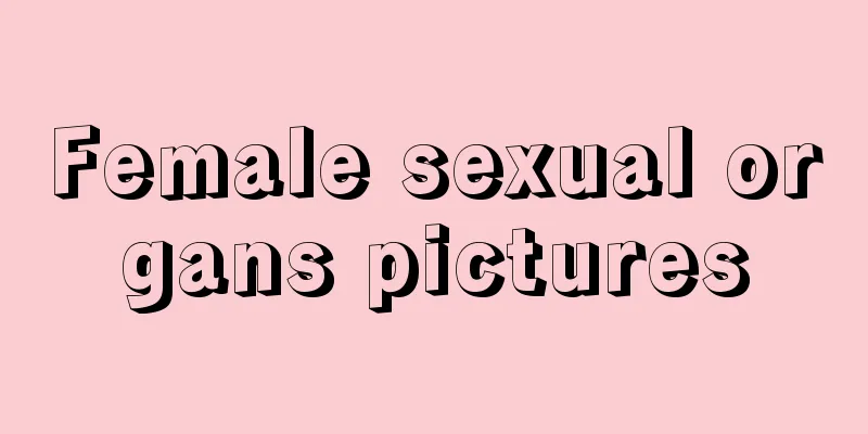 Female sexual organs pictures