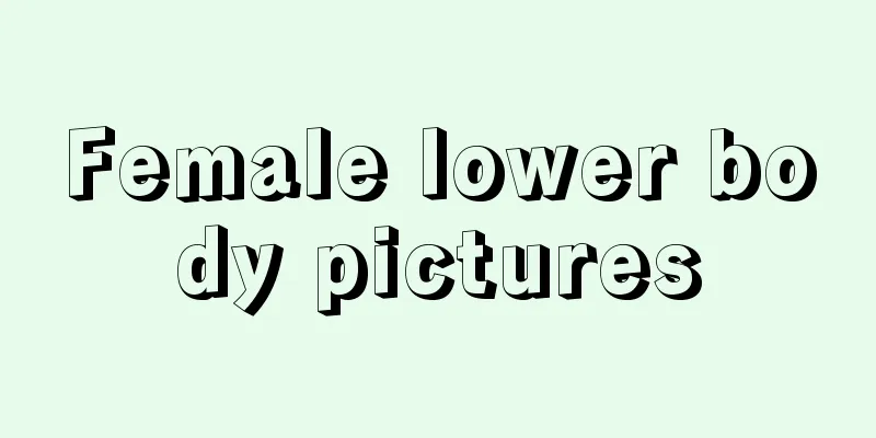 Female lower body pictures