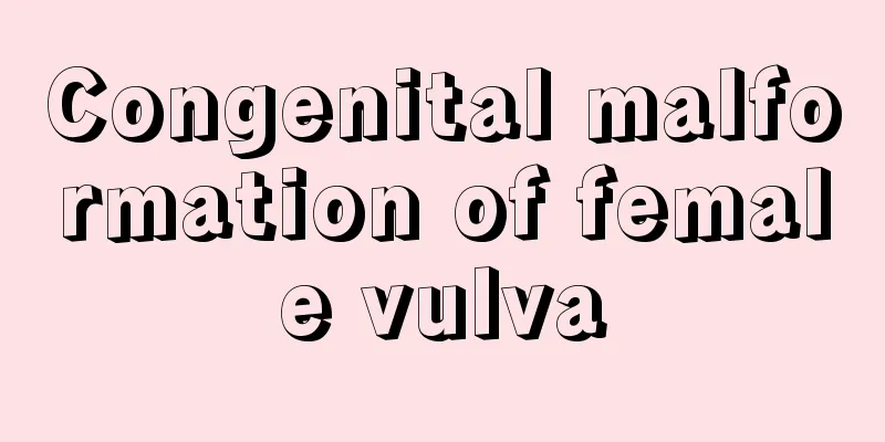 Congenital malformation of female vulva