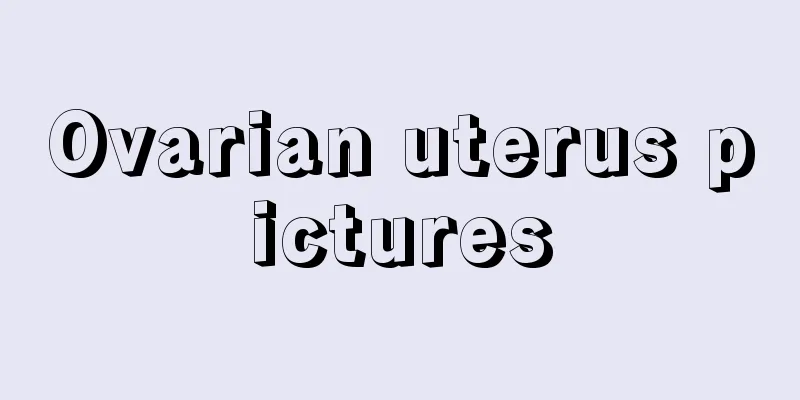 Ovarian uterus pictures